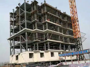 福建大型鋼結(jié)構(gòu)工程公司 卓越施工與建筑安裝工程的專業(yè)力量